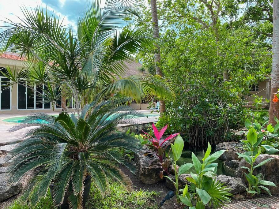 Casa Paamul Villa Playa del Carmen Exteriör bild